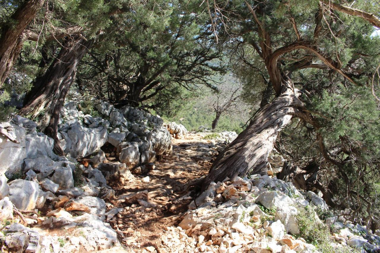 באוני B&B Issicoro מראה חיצוני תמונה