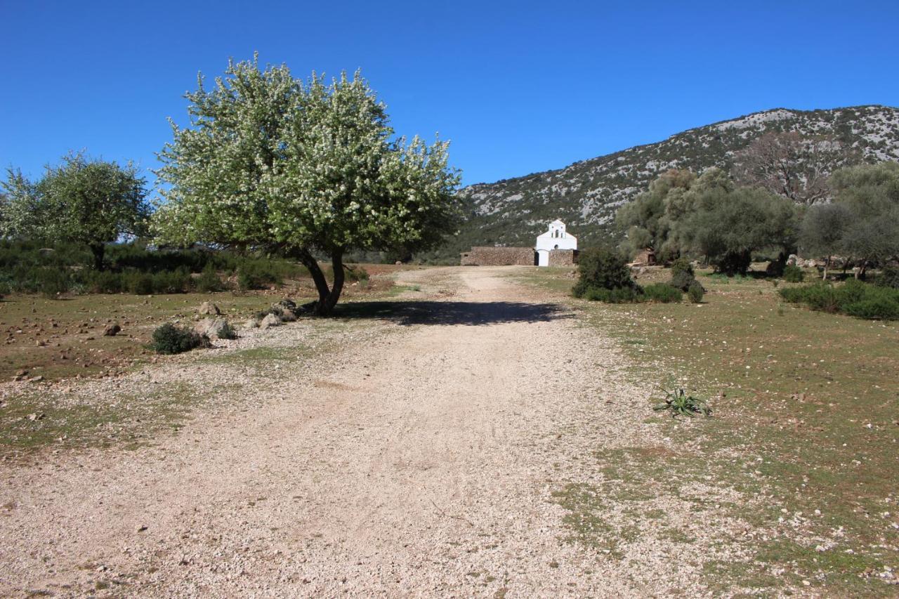 באוני B&B Issicoro מראה חיצוני תמונה